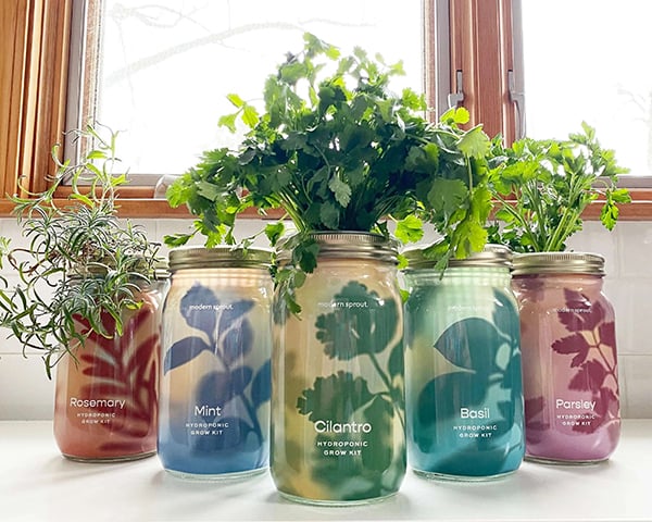Garden Jars