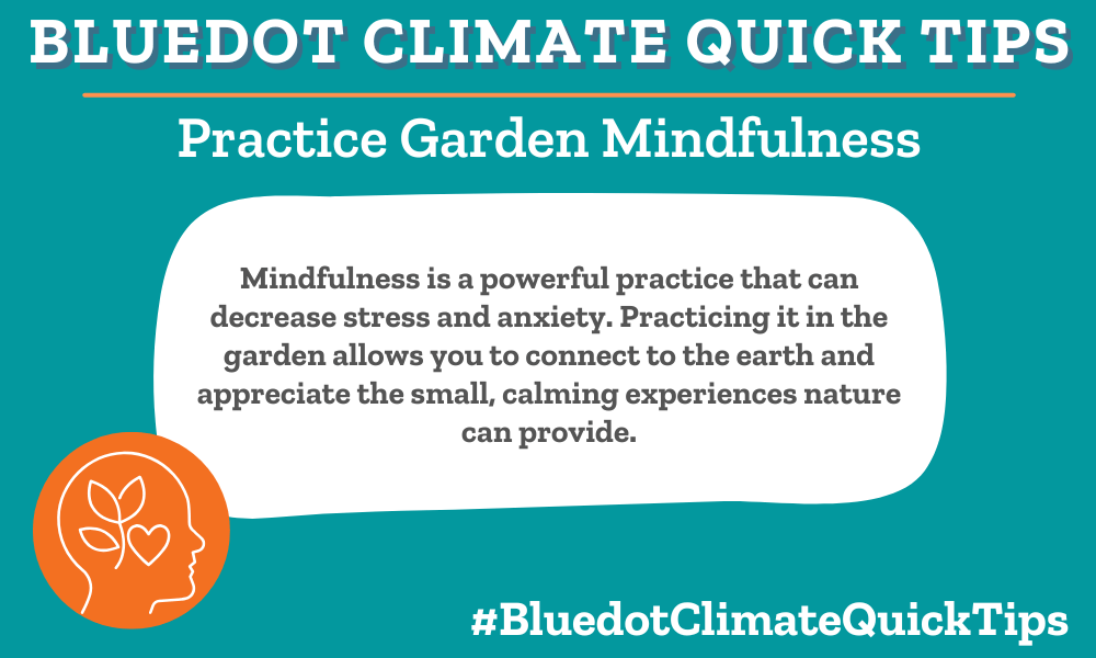 Climate Quick Tips