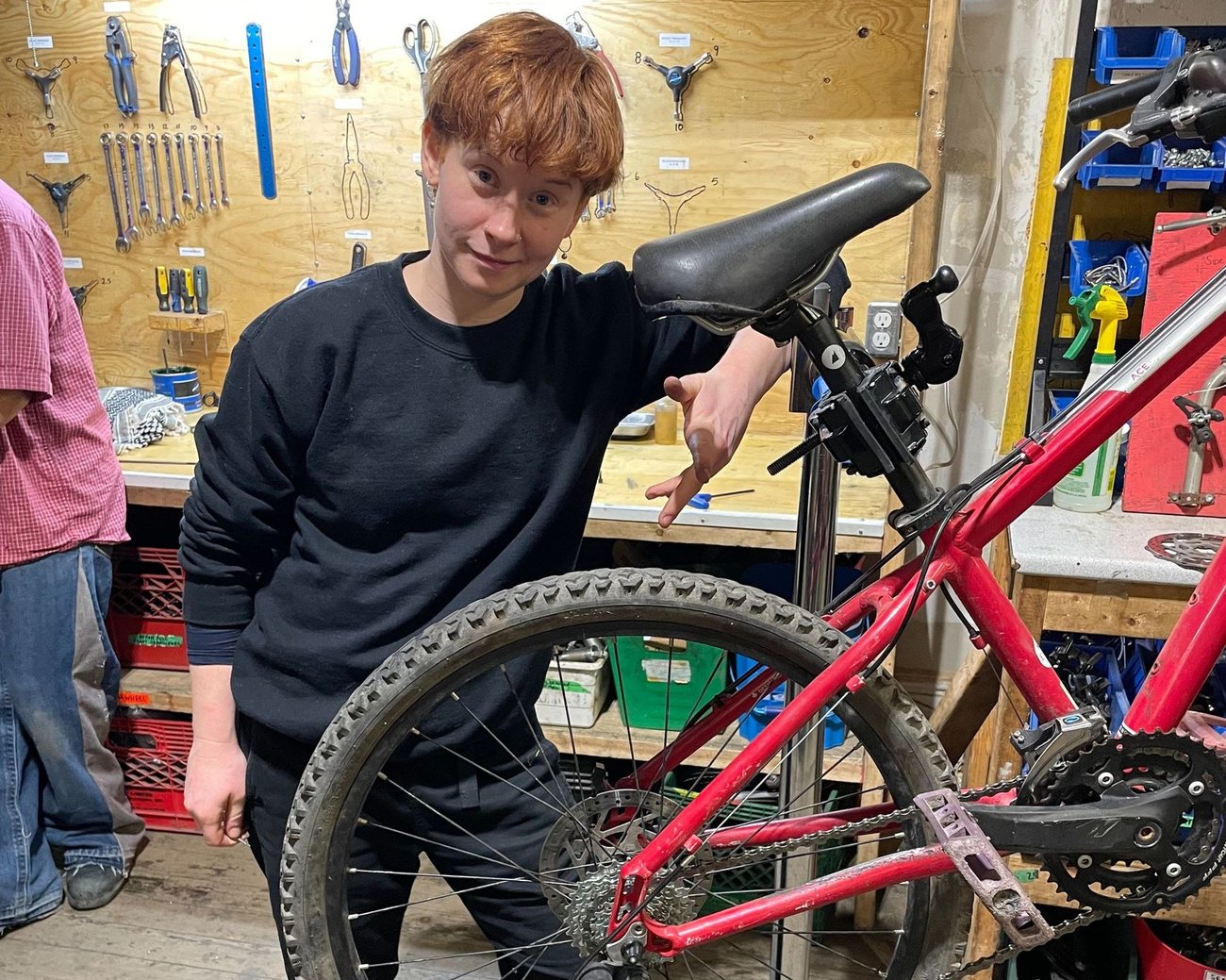 Bike Mechanic