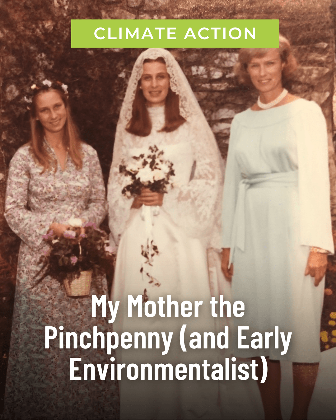 Featured Story