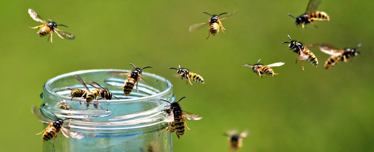 Credit: Antony Robinson/iStock 