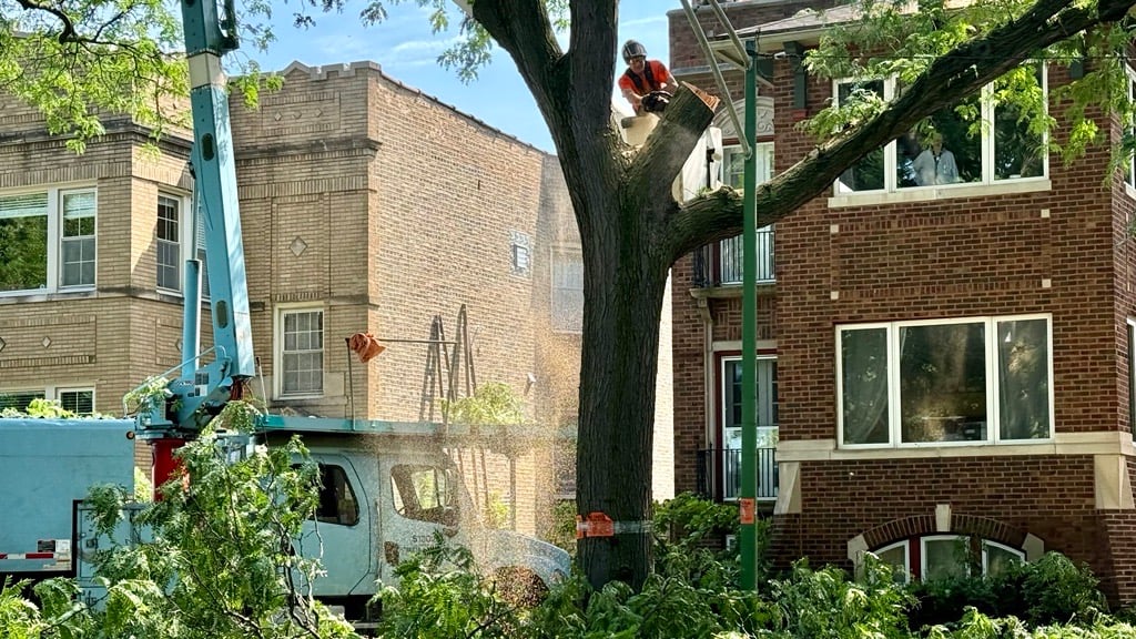 (Credit: Patty Wetli / WTTW News) (Credit: Patty Wetli / WTTW News)