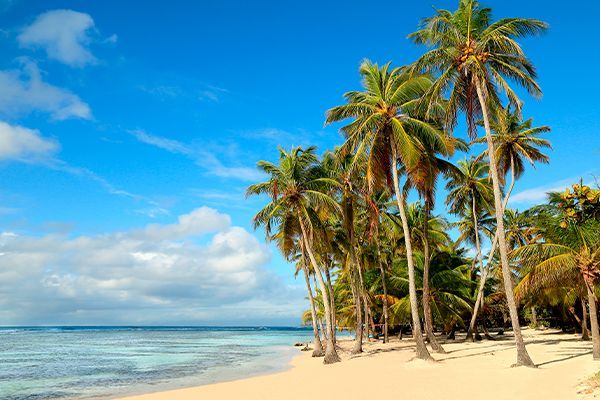 Combiné Martinique/Guadeloupe, Nature & Écolo-chic