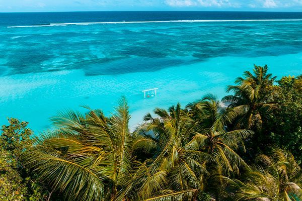 Hôtel LUX* South Ari Atoll 5*