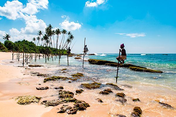 Sri Lanka Nature & Découverte