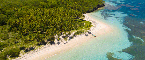 Trésors des Caraïbes