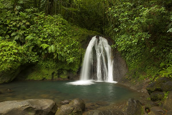 Combiné les 4 îles de Guadeloupe