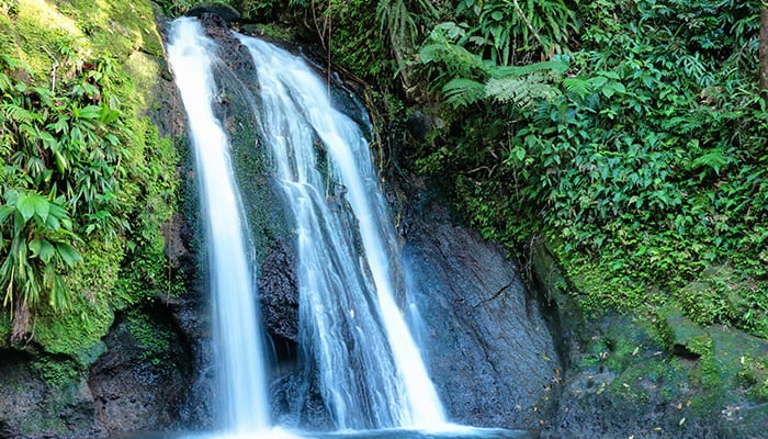 Top 10 des plus belles cascades de la Guadeloupe