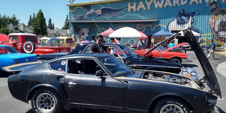 Photo of classic cars on
display in front of the Hayward Animal Shelter.