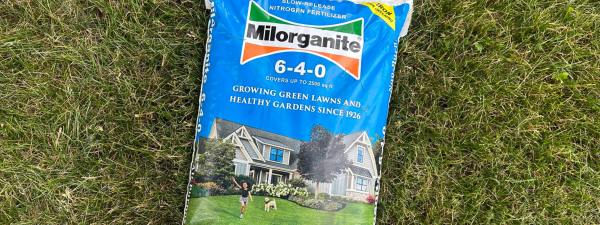 african american woman in garden smelling tray of flower