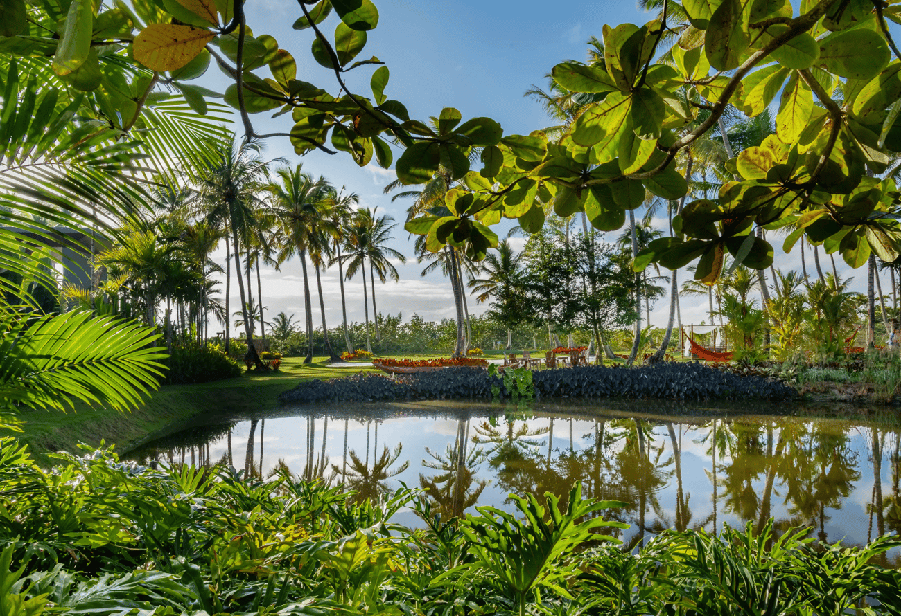 Crie do jeito que você quiser