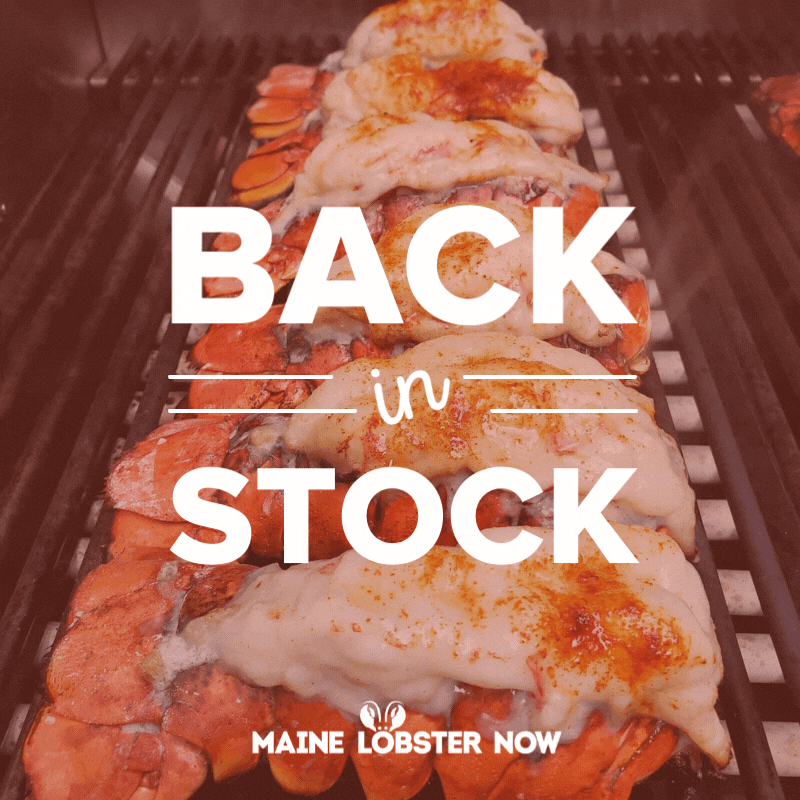 🦞 Oversized Lobsters are back....🦞 Maine Lobster Now