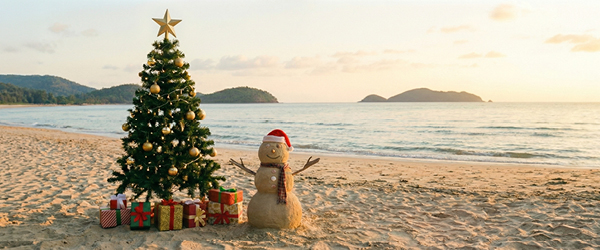 Welcome to our December newsletter