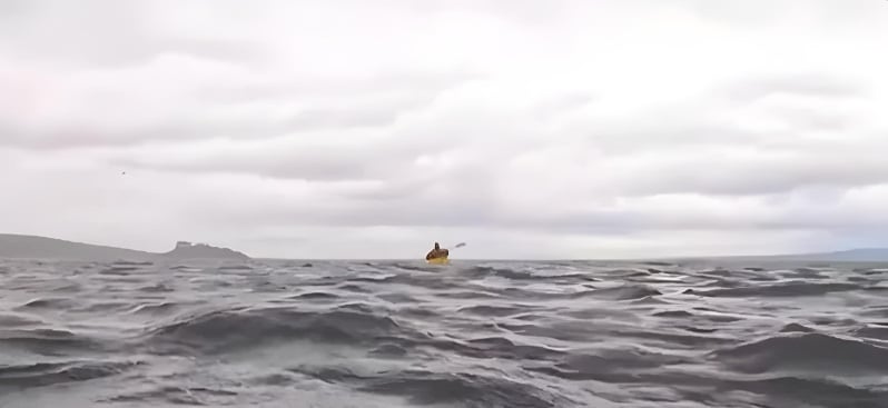 Humpback whale briefly “scooped” up the son