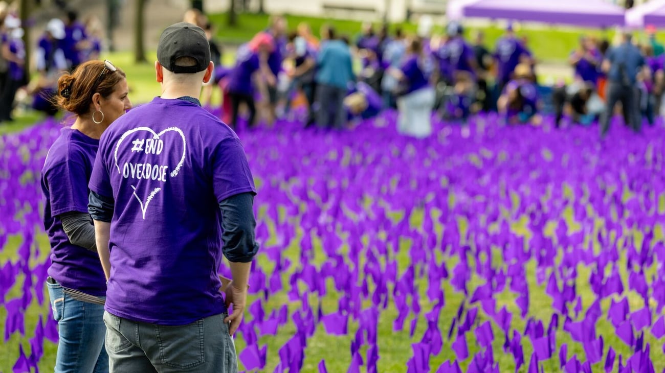 Drapo mov ki plante nan kote ki rele Boston Common nan