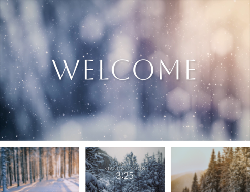 Snow Shimmer - Visual Revival