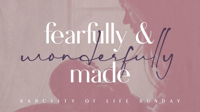 Fearfully & Wonderfully Made