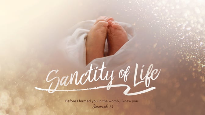 Sanctity of Life - Igniter Original 