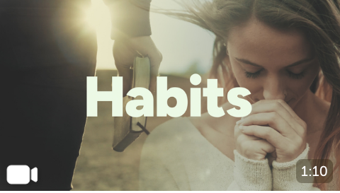 Habits - Freebridge Media
