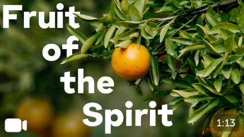 Fruit of the Spirit - James Grocho