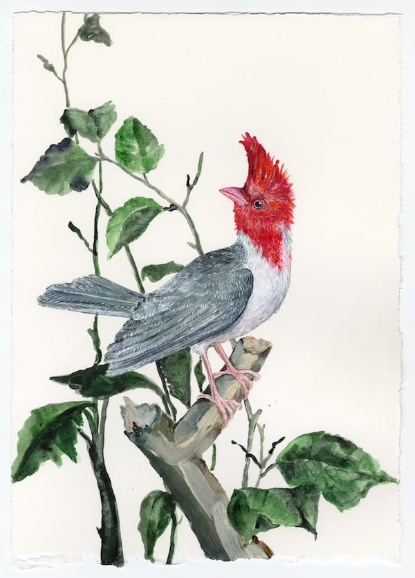 Sutapa Biswas, August I, Time Flies series (crop), 2025. © Sutapa Biswas. Image courtesy the artist and Hospital Rooms