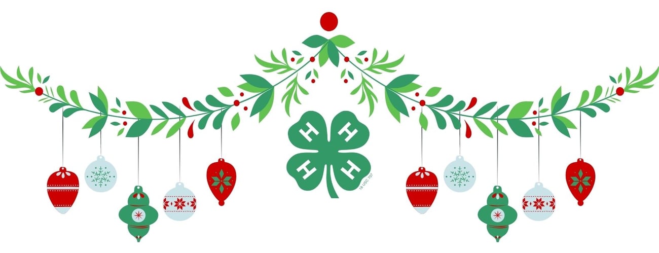 christmas garland image 4H