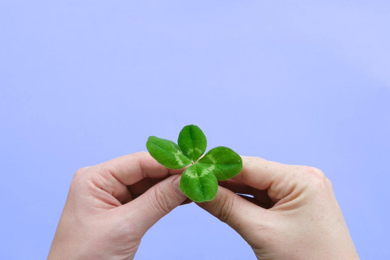 Image of 4-H volunteer leadership series flyer