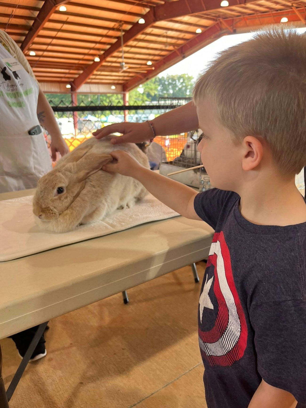 Boy petting Rabit