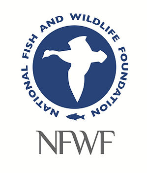 The National Science Foundation logo.