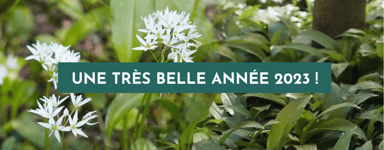 une très belle année 2022 !