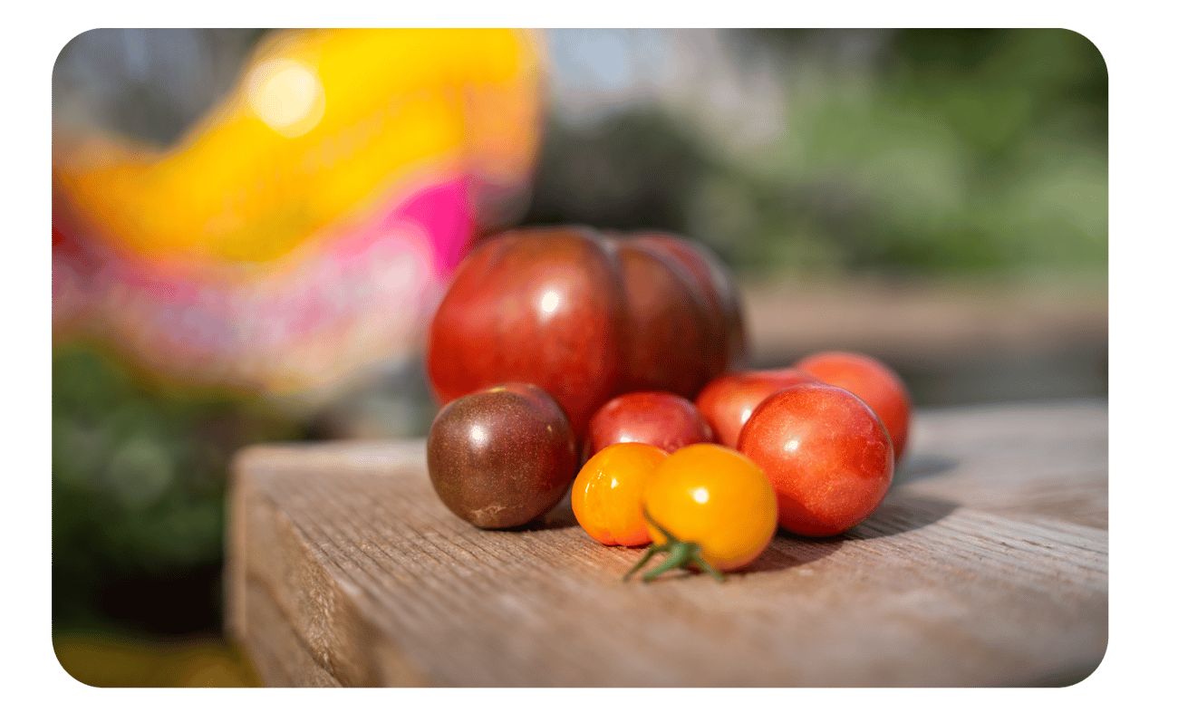 Kickstart 2024 with Vibrant Gardening Tips & Tools! Zones 78 Kellogg Garden