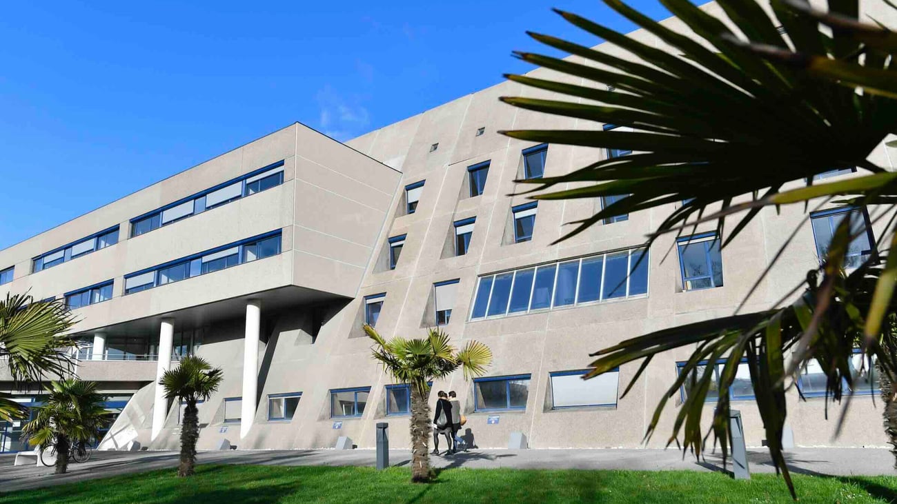 l'Essentiel | Info du jour