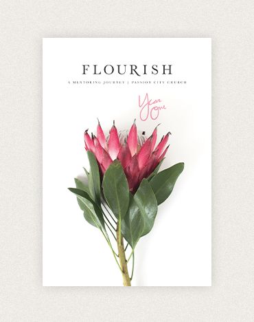 Flourish - A Mentoring Journey
