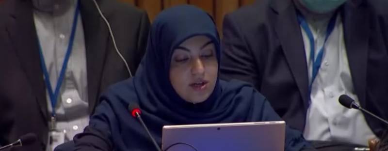 Iran at the United Nations