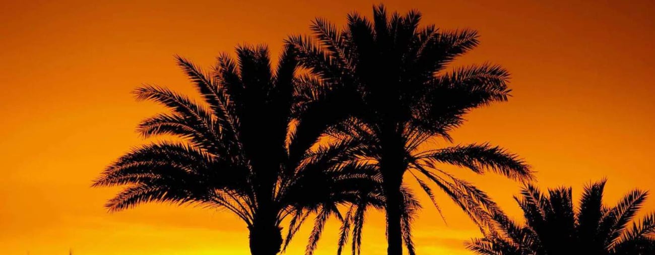 Florida's population grew faster than any other state in 2022.