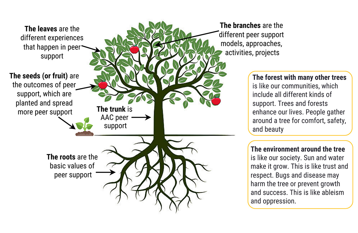 Illustration of a tree symbolizing peer support, showing roots as values, trunk as AAC peer support, branches as approaches, leaves as experiences, and fruit as outcomes, with notes on community and societal influences.