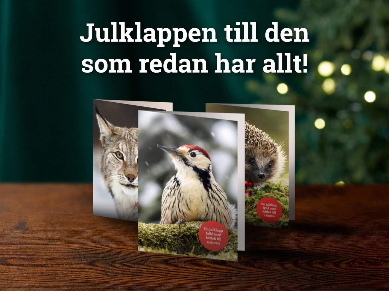 Bild på julgåvobevis