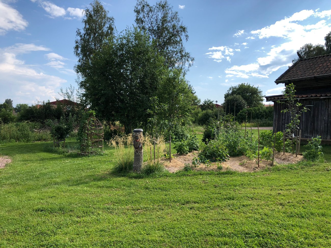 Mångfaldens trädgård i sommarskrud, foto: Jenny
Olsson