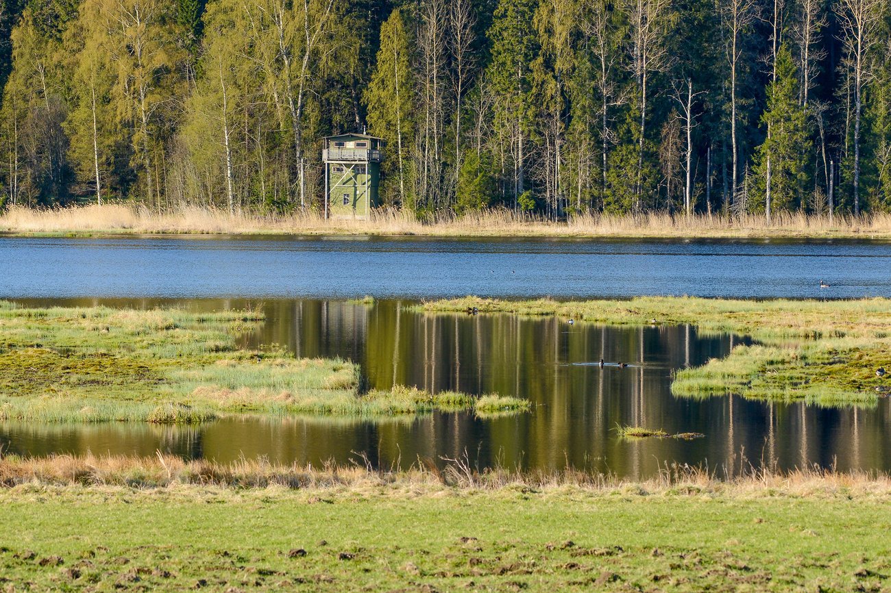 Fågeltornet vid Ålsjön, foto: Tage Persson, Mostphotos