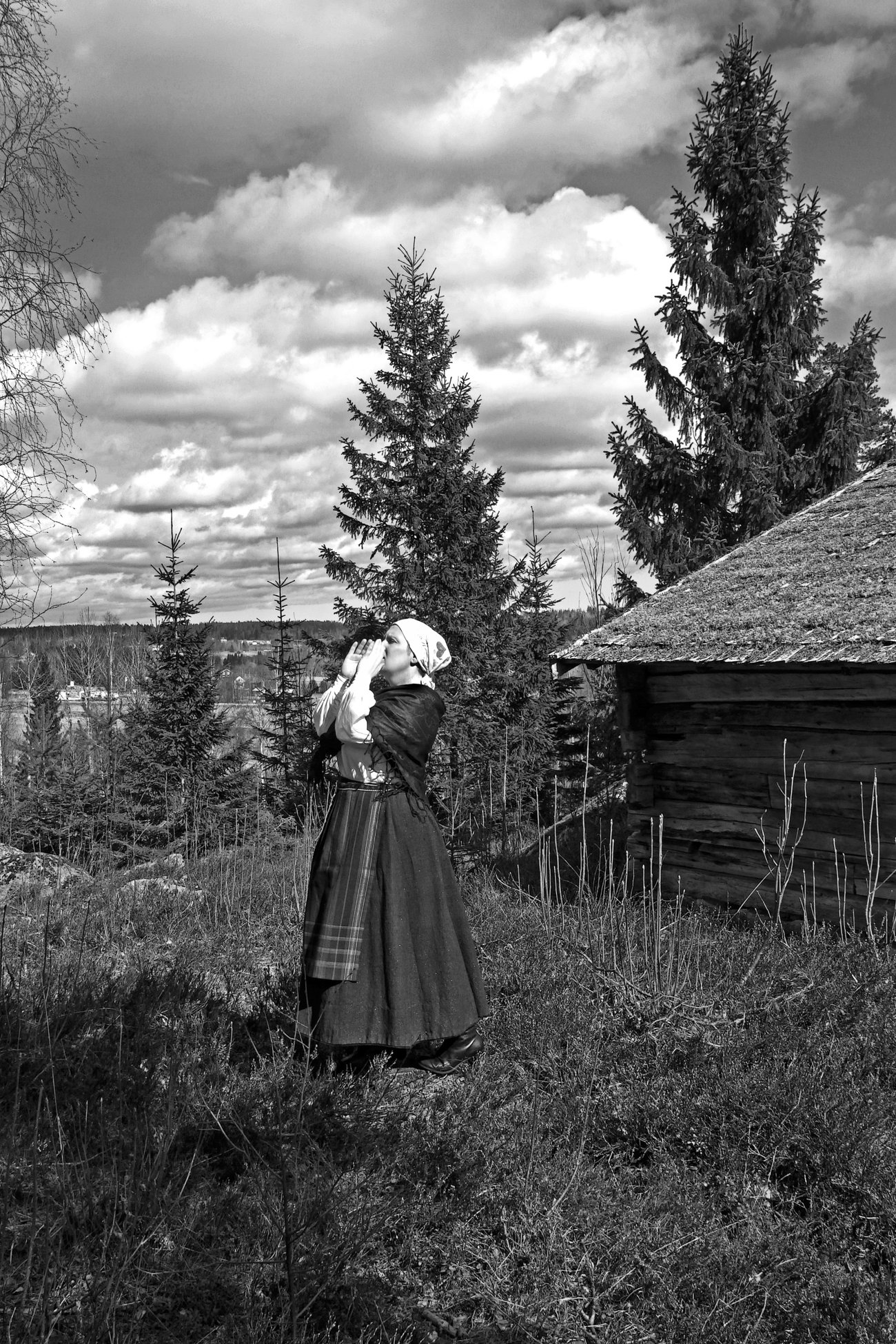 Kulning vid fäbod i Nordanstig, foto: ATAG, Mostphotos