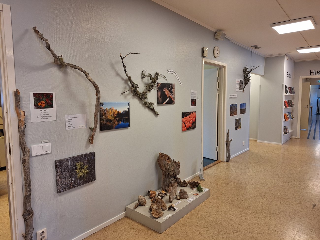 Bild på delar av skogsutställningen, foto: Inga-Greta Andersson