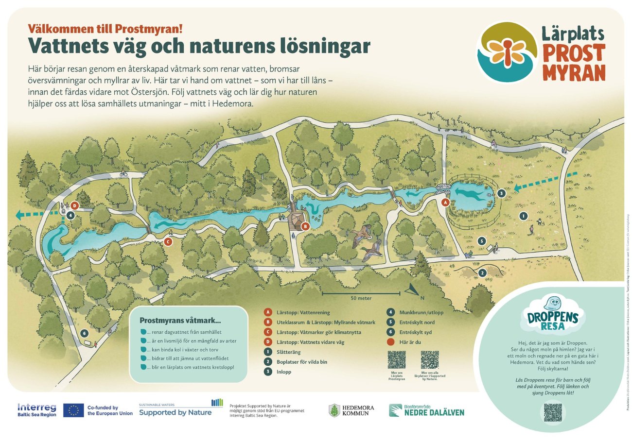 En av de nya läroskyltarna vid Prostmyran, Biosfärområde Nedre Dalälven