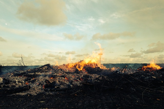 A large fire in a field