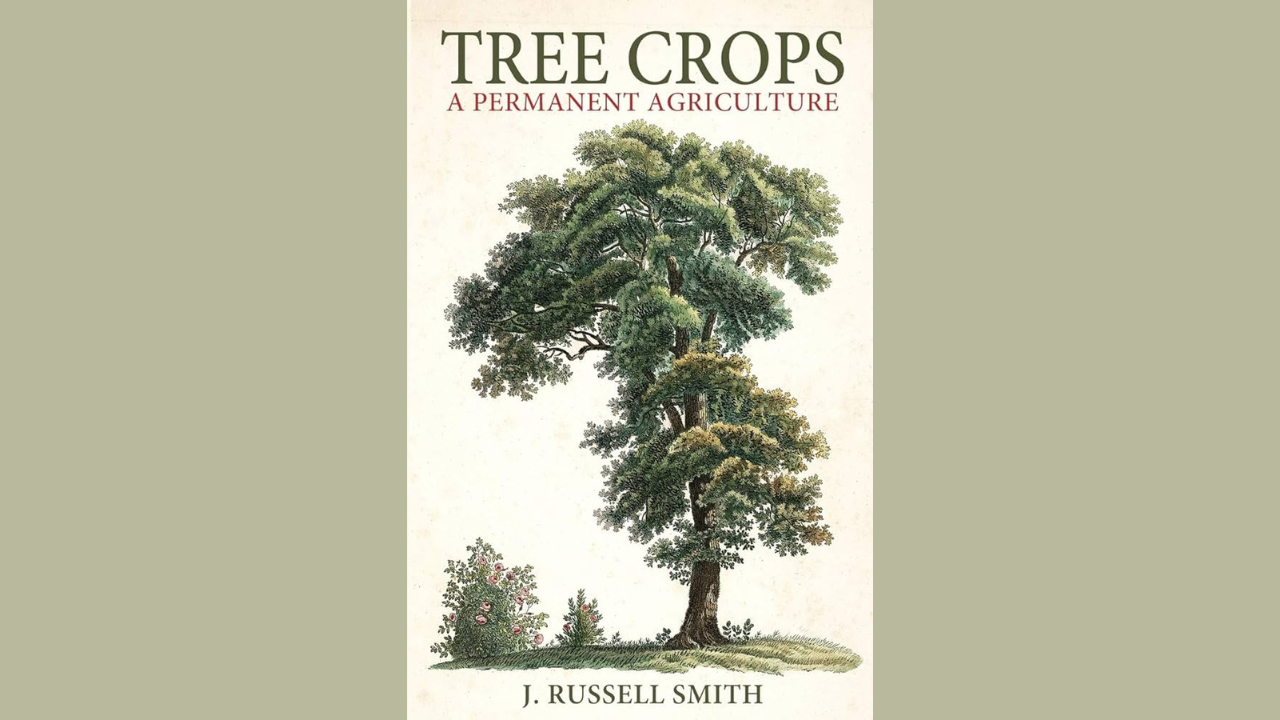 Tree Crops