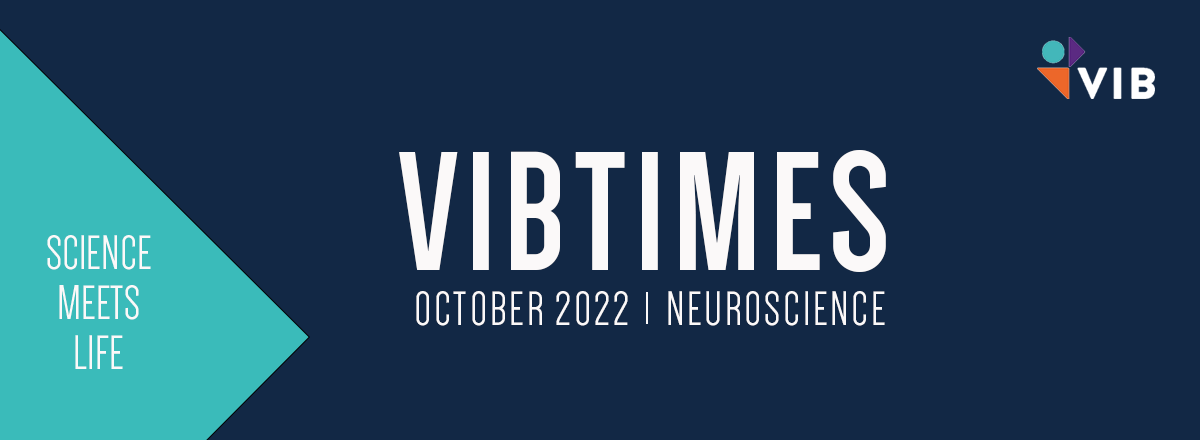 VIBtimes October 2022 ꓲ NEUROSCIENCE