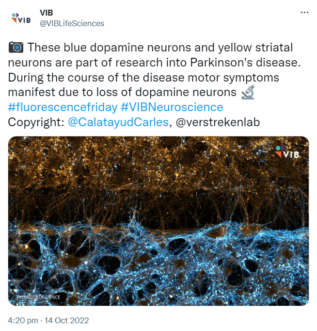 Tweet Fluorescence Friday