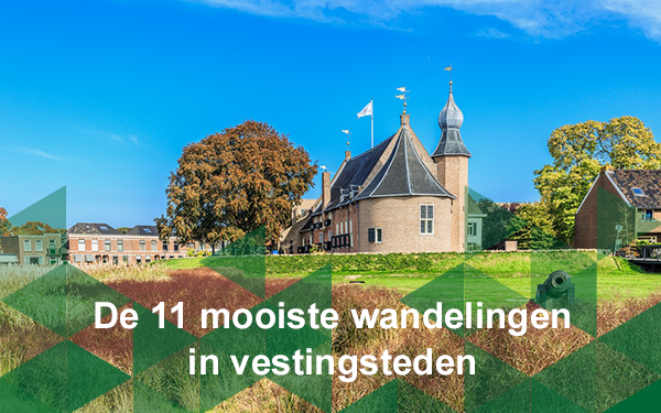 Header nieuwsbrief
