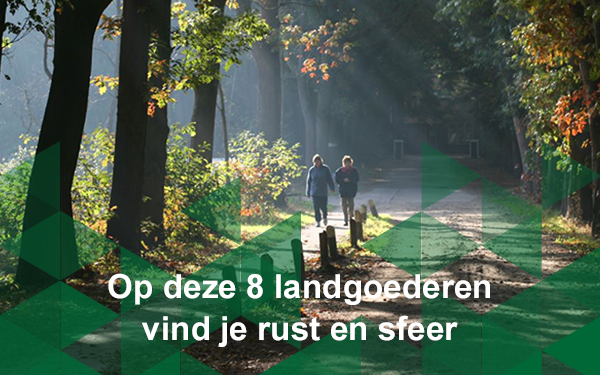 Header nieuwsbrief