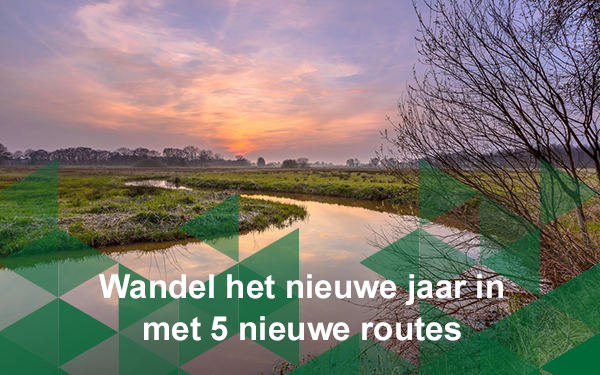 Header nieuwsbrief