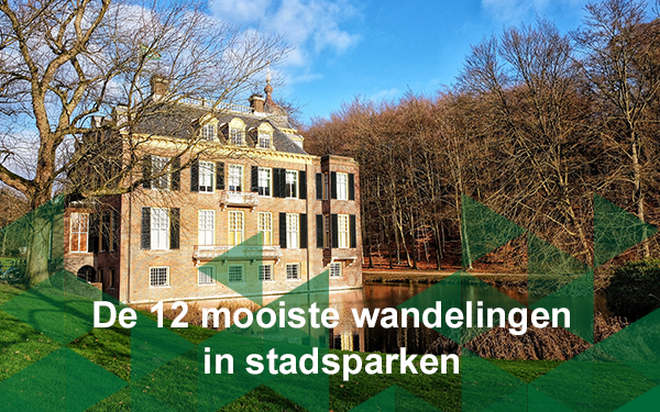 Header nieuwsbrief